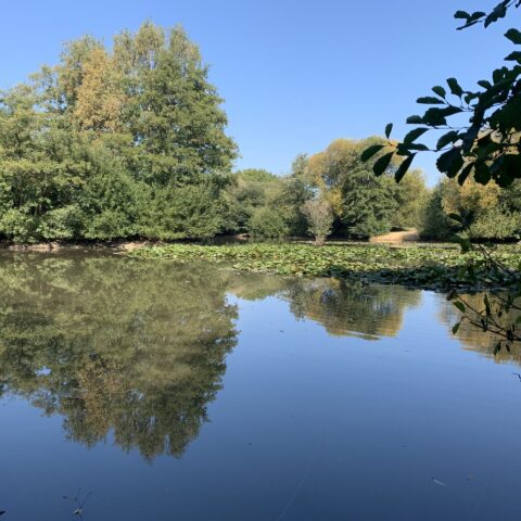 Riverside – Gatwick Lake