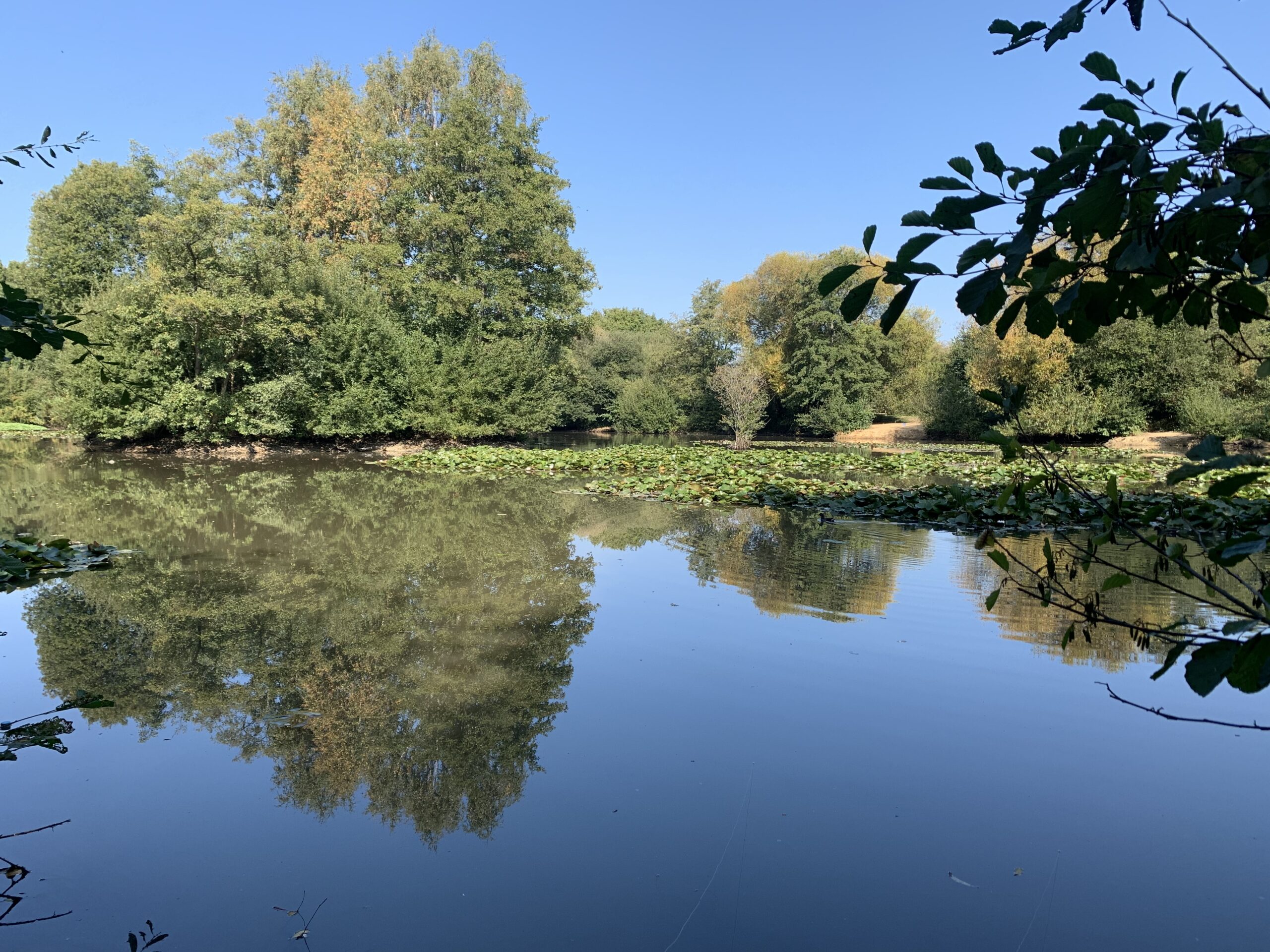 Riverside Gatwick Lake Horley Piscatorial Society Riverside Gatwick Lake Horley Piscatorial Society
