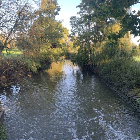River Mole – Kinnersley Manor